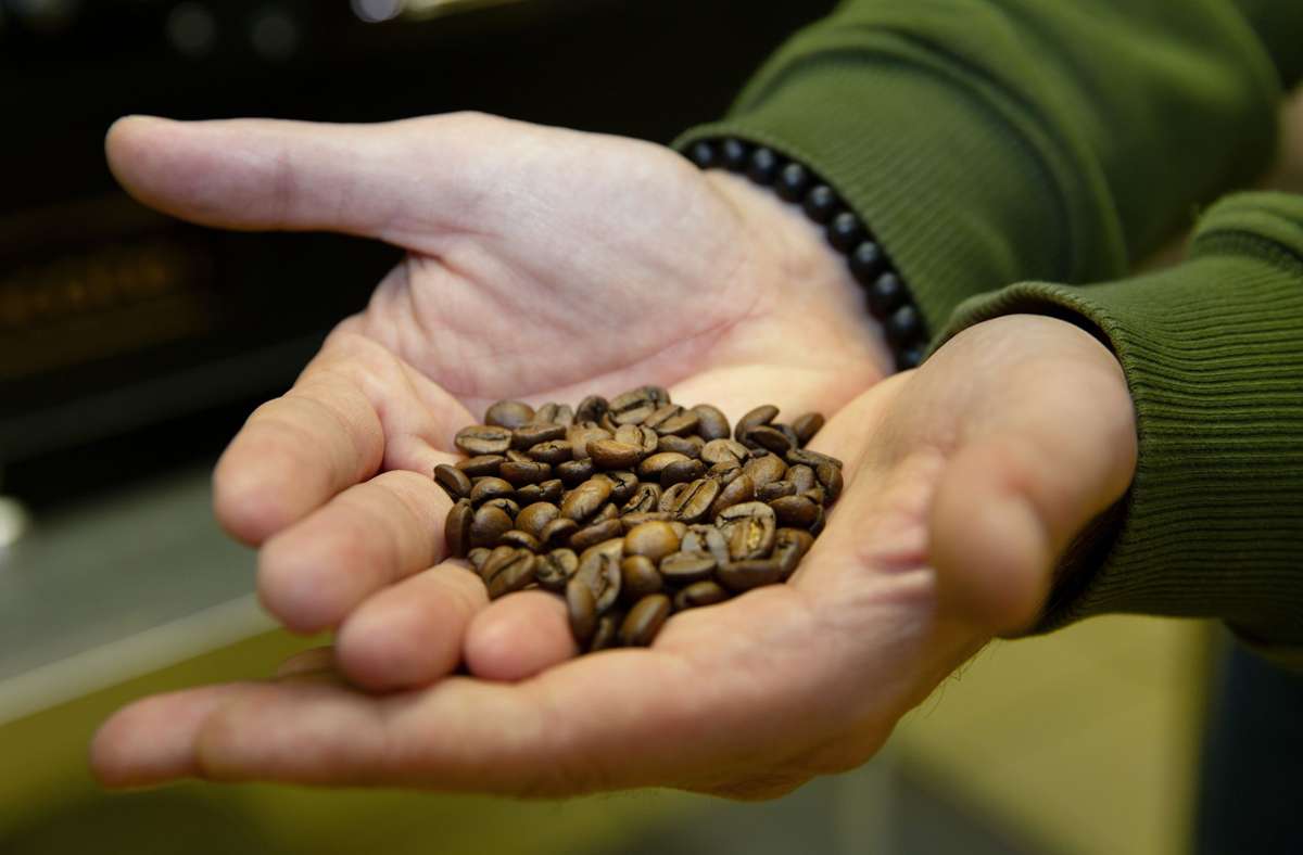 Kaffee wird in 50 verschiedenen Ländern weltweit angebaut. Die Anbaufläche von 10,5 Millionen Hektar entspricht in etwa der Landesfläche Portugals.
