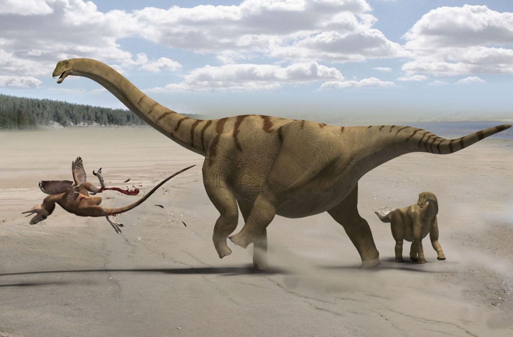 Forscher entdeckten 2011 Knochen einer bis dahin unbekannten Dinosaurierart „Brontomerus mcintoshi“. Sie gaben dem Tier den klangvollen Namen „Donnerschenkel-Dinosaurier“. Damit spielen sie auf die enormen Schenkelausmaße an, die das Urzeitlebewesen ihren Erkenntnissen zufolge gehabt haben muss.