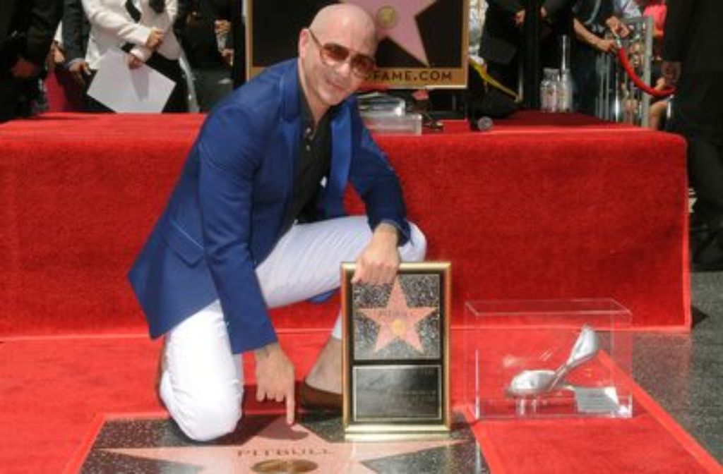 Hollywood Pitbull Erhalt Stern Auf Dem Walk Of Fame Panorama Stuttgarter Zeitung