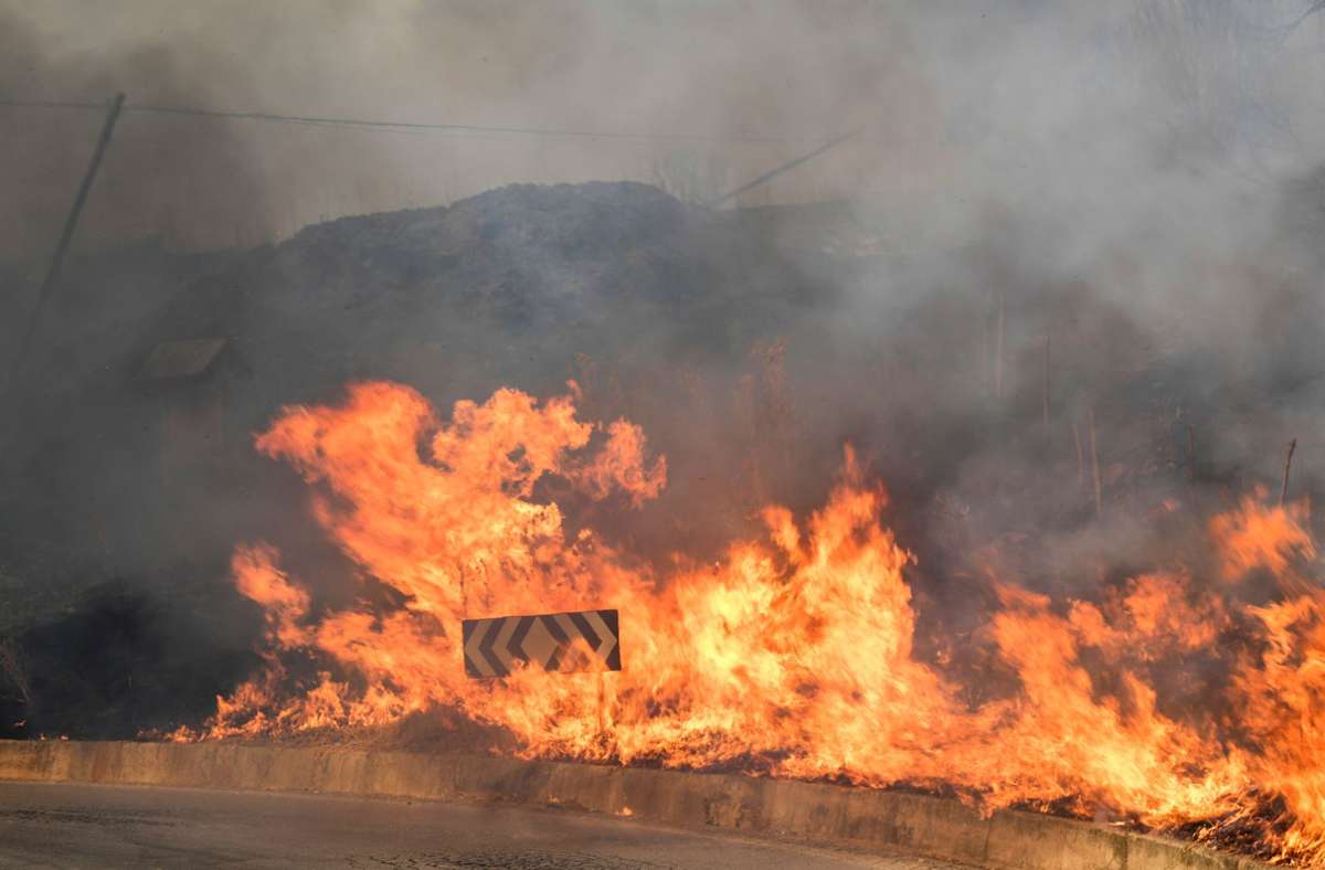Flammen breiten sich ebenfalls in der Gemeinde Blufi in Italien aus. Sizilien, Sardinien, Kalabrien und auch Mittelitalien wurden von Waldbränden schwer getroffen.