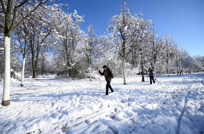 5000 Haushalte im Elsass nach Schneefällen ohne Strom