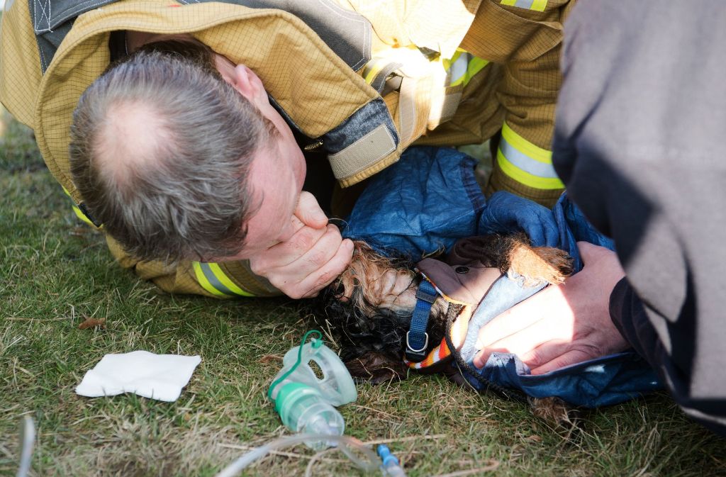Ein Feuerwehrmann versucht mit allen Mitteln, den Dackel zu retten. Foto: dpa