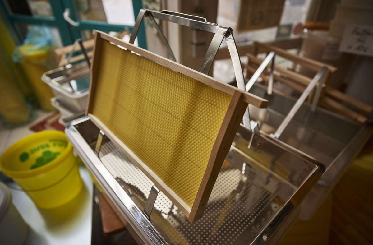Das Entdeckelungsgeschirr wird verwendet, um die Wachsschicht auf den Zellen der Honigwaben zu entfernen und den Honig freizulegen.