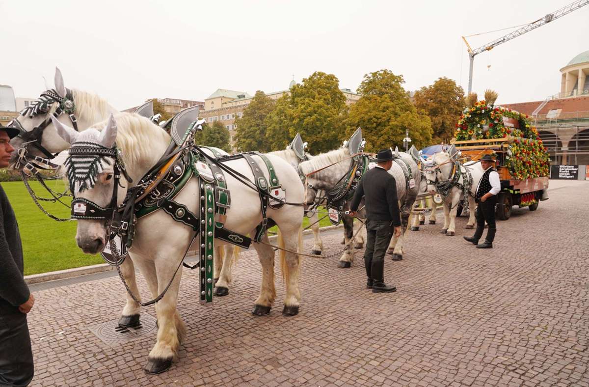 Pferde auf dem Stuttgarter Schlossplatz