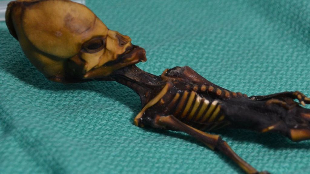 Vermeintlicher Außerirdischer: Rätsel um „Alien“-Mumie gelüftet