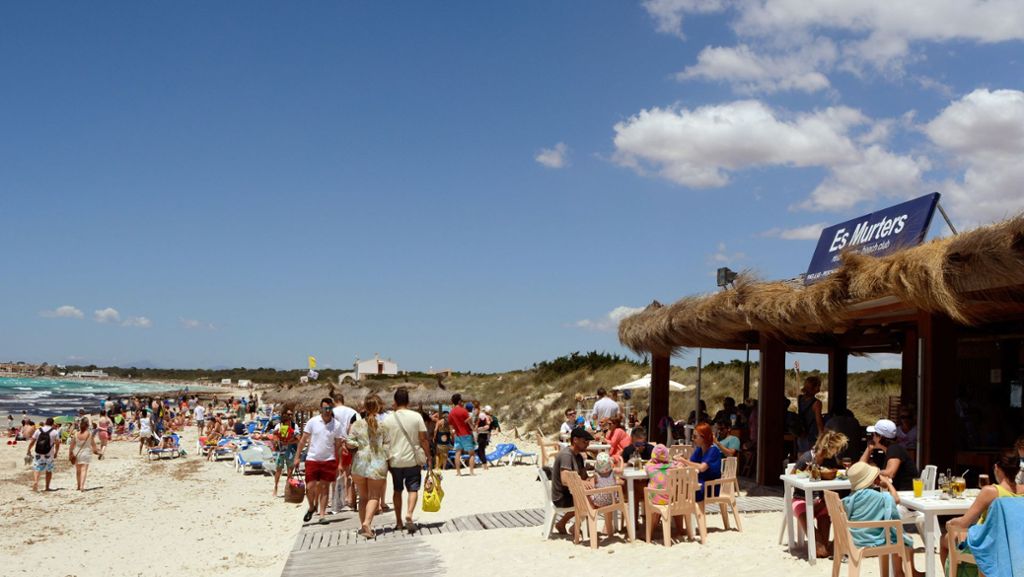  Eine Unmenge an Algen macht zur Zeit einen Besuch am Strand „Es Trenc“ auf Mallorca unmöglich. Nicht nur das Seegras ist kein schöner Anblick, es kann für die Touristen auch schnell gefährlich werden. 