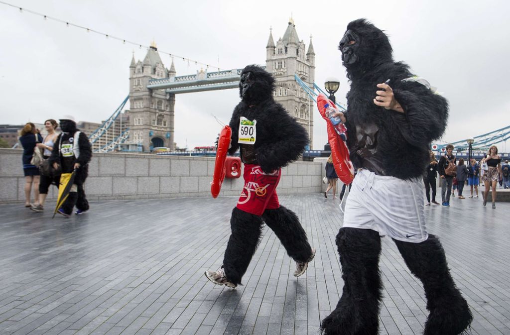 Gorilla Run: Keine Sorge – wer bei einem Städtetrip in London einem Haufen rennender Gorillas begegnen sollte, der muss nicht das Weite suchen. Das sind keine entlaufenen Affen, sondern verkleidete Menschen, die auf einer acht Kilometer langen Strecke durch die Londoner Innenstadt, vorbei an sämtlichen Sehenswürdigkeiten, auf die vom Aussterben bedrohten Berggorillas aufmerksam machen wollen ...