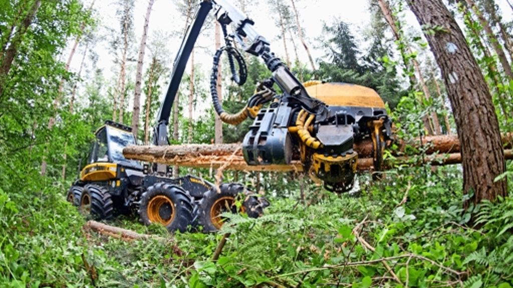 Wald im Stuttgarter Süden: Etwa  140  Bäume  sind stark beschädigt