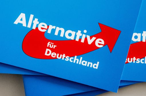 Die Alternative für Deutschland ist eine umstrittene Partei. (Symbolbild) Foto: dpa/Markus Scholz