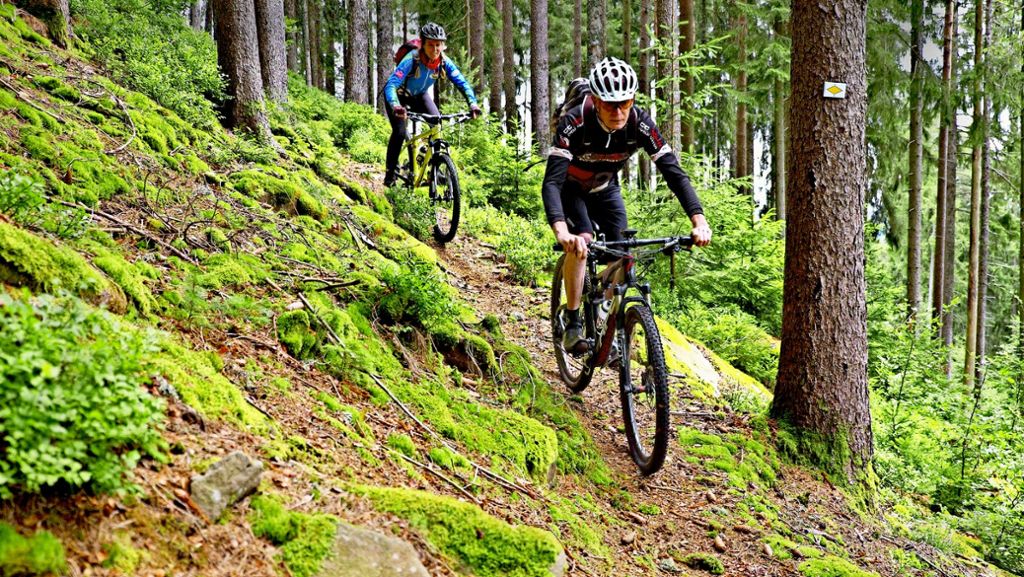 Baden-Württembergs Mountainbike-Szene: Im Trend: Genussfahren statt runterholzen