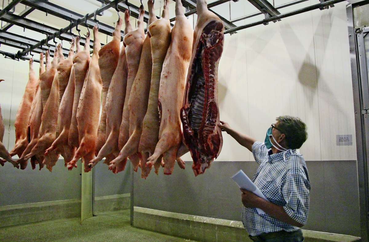 Wilhelm Dengler begutachtet die Schweinehälften im Kühlraum. Foto: /Chiara Sterk