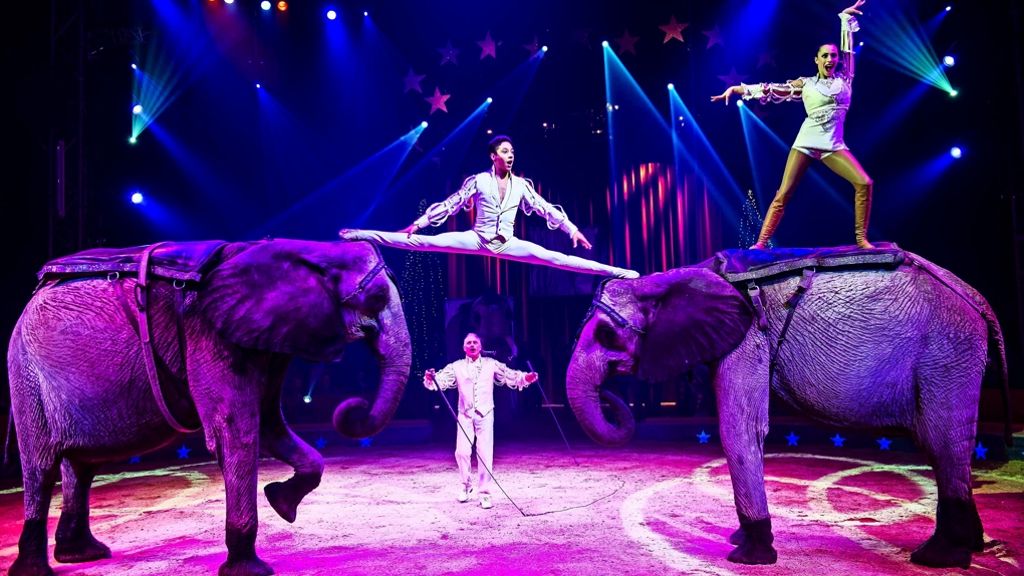 Tierschutz in Stuttgart: Stadträte wollen Zirkus ohne Wildtiere
