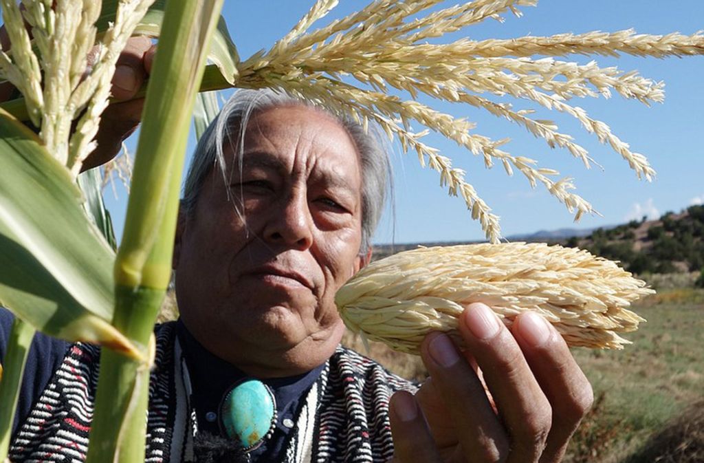Die amerikanischen Ureinwohner bauen jahrhundertealte Sorten an