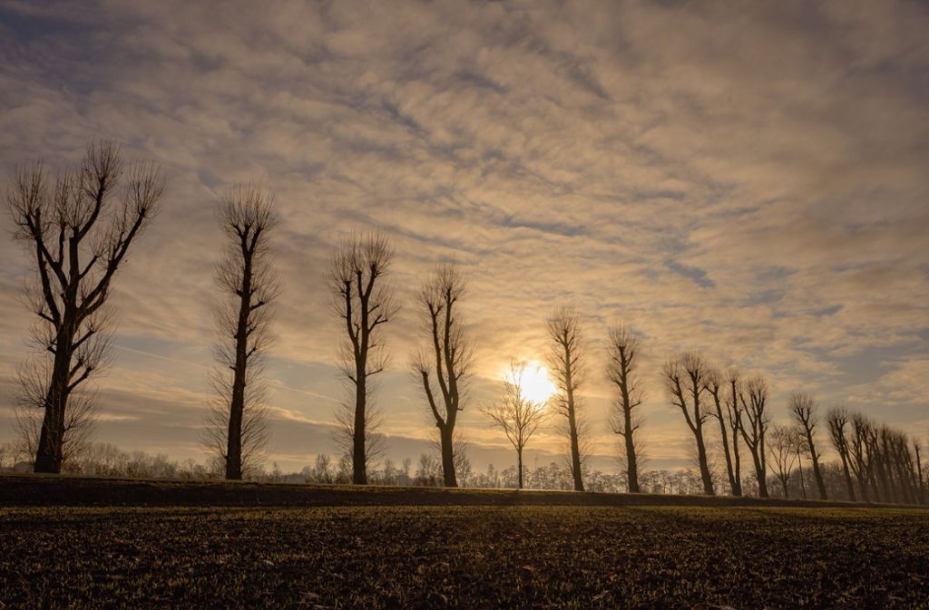 Wetter Im Sudwesten Woche Beginnt Uberwiegend Sonnig Baden