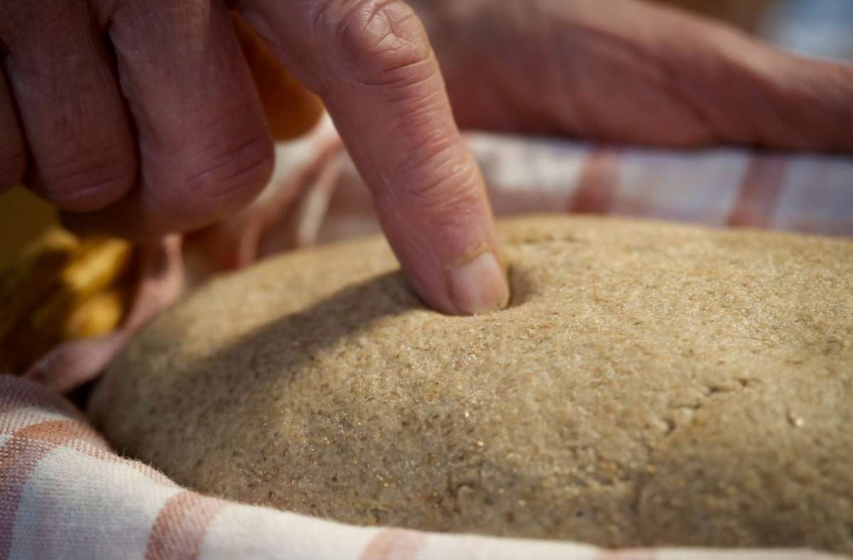 Ist das Brot reif für den Ofen? Der Fingertest zeigt es.