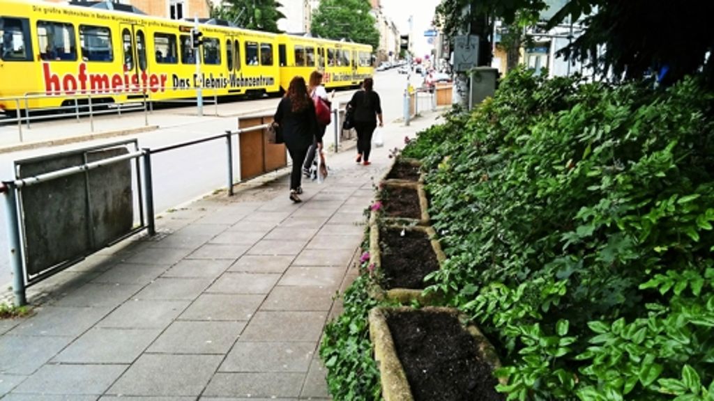 Blumenkästen am Stöckachplatz: Immer häufiger werden Pflanzen gestohlen