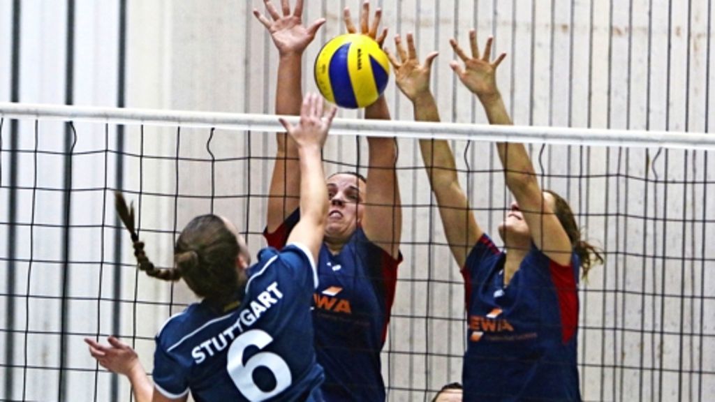 Volleyball: Potenzial für eine gute Rolle im neuen Kapitel