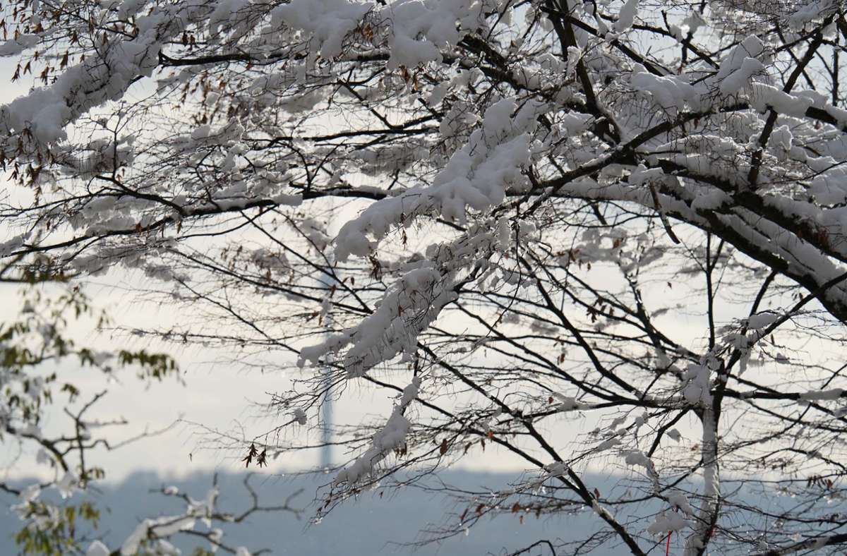 In Stuttgart fiel am Wochenende der erste Schnee in diesem Winter.