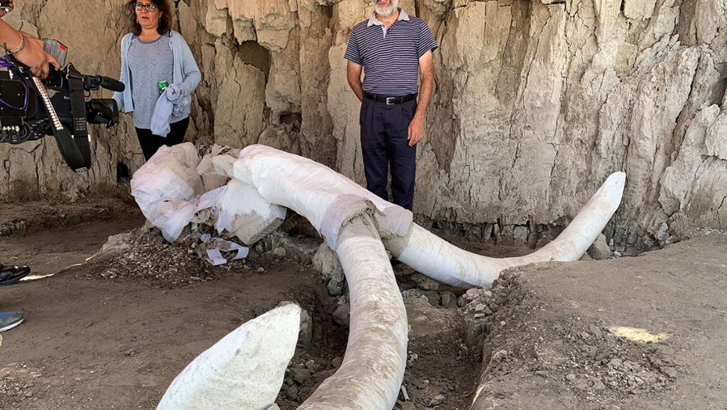 Mexiko:  Mammuts –  Riesen der Eiszeit: Forscher entdecken 15 000 Jahre alte Fallgruben für Mammuts