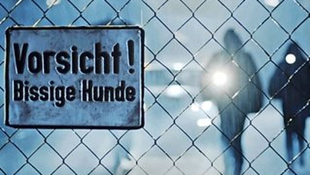 Ludwigsburger Filme bei Sixx: Großes Kino in der Nacht