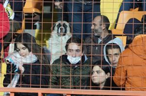 Straßenhund kommt ins Stadion und sieht beim Spiel zu