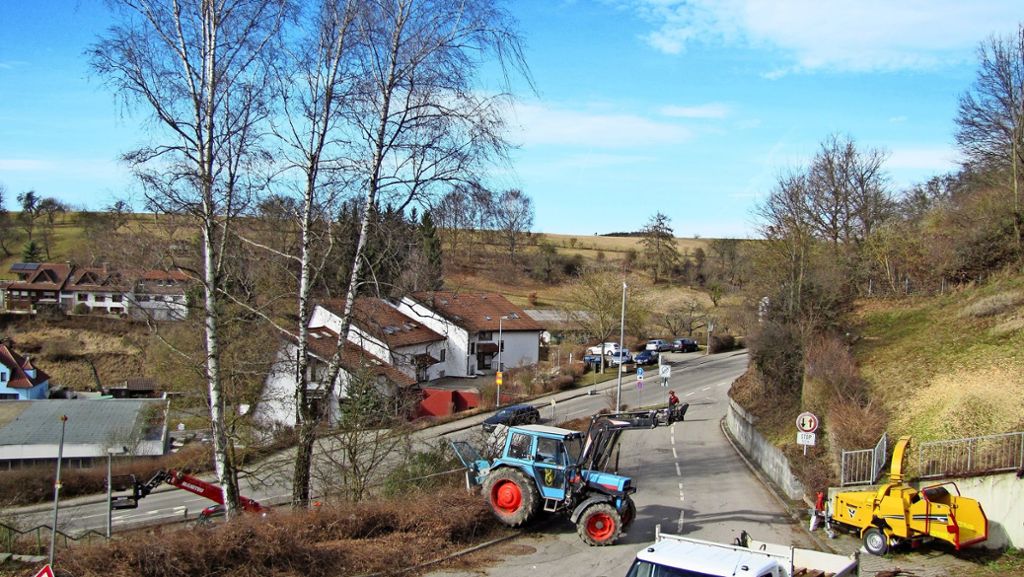Bauprojekt in Waldenbuch: Am Panoramaweg beginnen die Fällarbeiten
