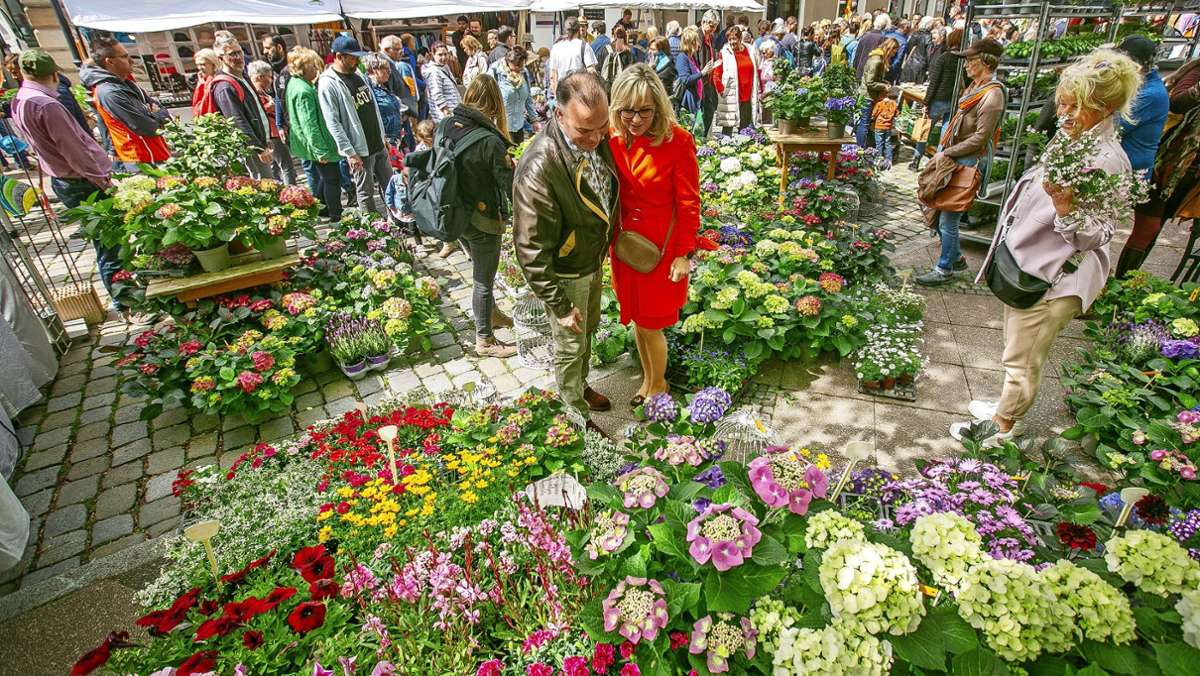 Esslinger Frühling: Gartentage lassen Stadt aufblühen