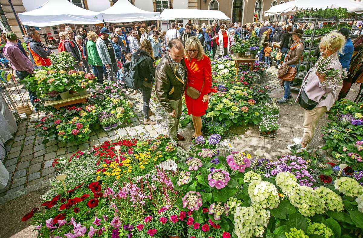 Bunte Blumen und üppiges Grün haben die Esslinger Altstadt bei den Gartentagen am Wochenende erblühen lassen.
