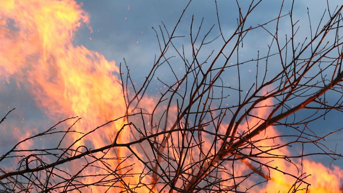 Feuerwehreinsatz in Renningen: Feuer in Asthaufen geht auf Bäume über