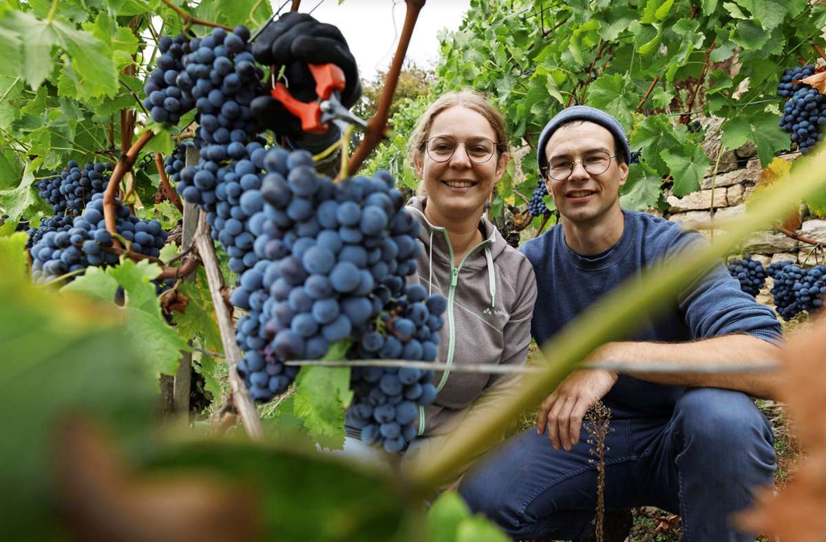 Solidarische Landwirtschaft im Weinberg: Florian und Theresa Wachter