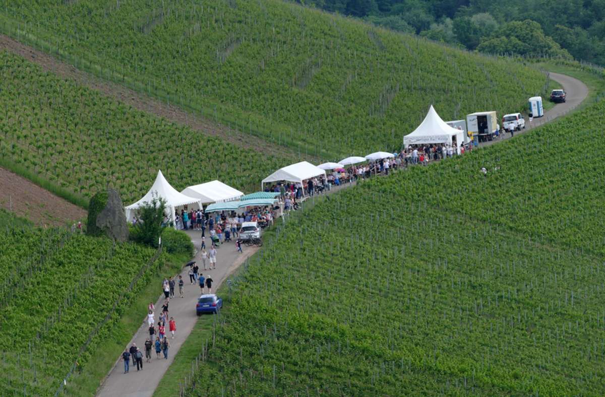 Der kulinarische Weinweg bietet fünf Genussstationen mitten in den Weinbergen von Kernen-Stetten. Foto: Remstal Tourismus