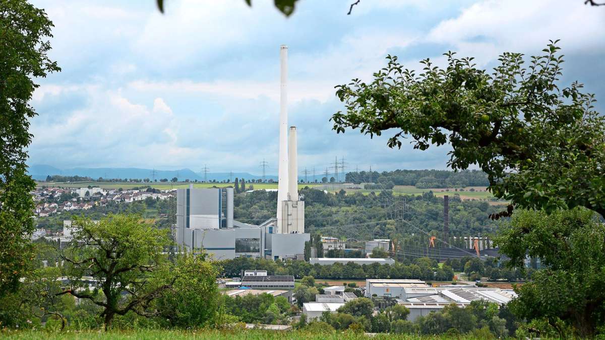 Kraftwerk in Altbach/Deizisau: Umweltverbände üben Kritik an Umbauplänen