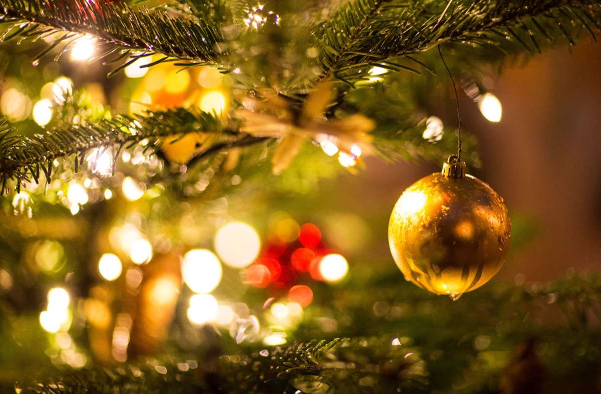 Wer hat die Weihnachtsbäume in Fellbach gestohlen? Foto: dpa/Friso Gentsch