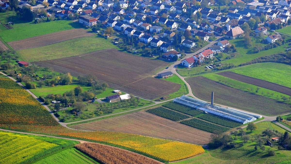 Baugebiet bei Marbach: Neustart für den Keltergrund