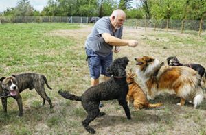 Harter Kampf um eine Hundewiese