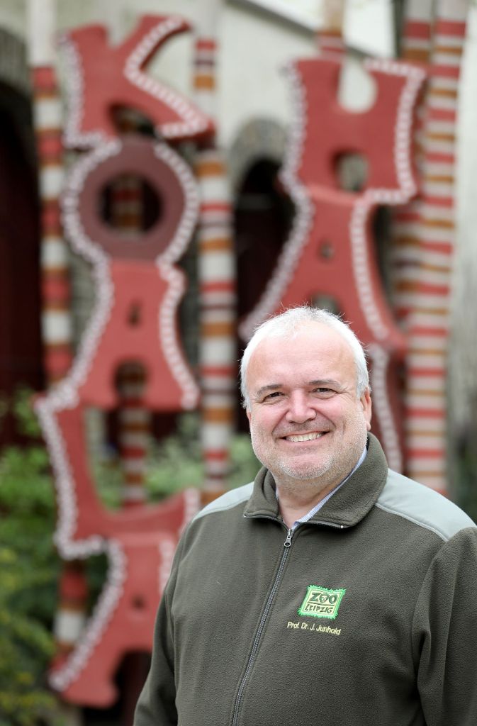 Jörg Junhold, Direktor des Zoos in Leipzig, vor dem Koala-Gehege