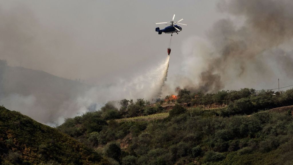 Gran Canaria: Feuerwehr bekommt Waldbrand unter Kontrolle