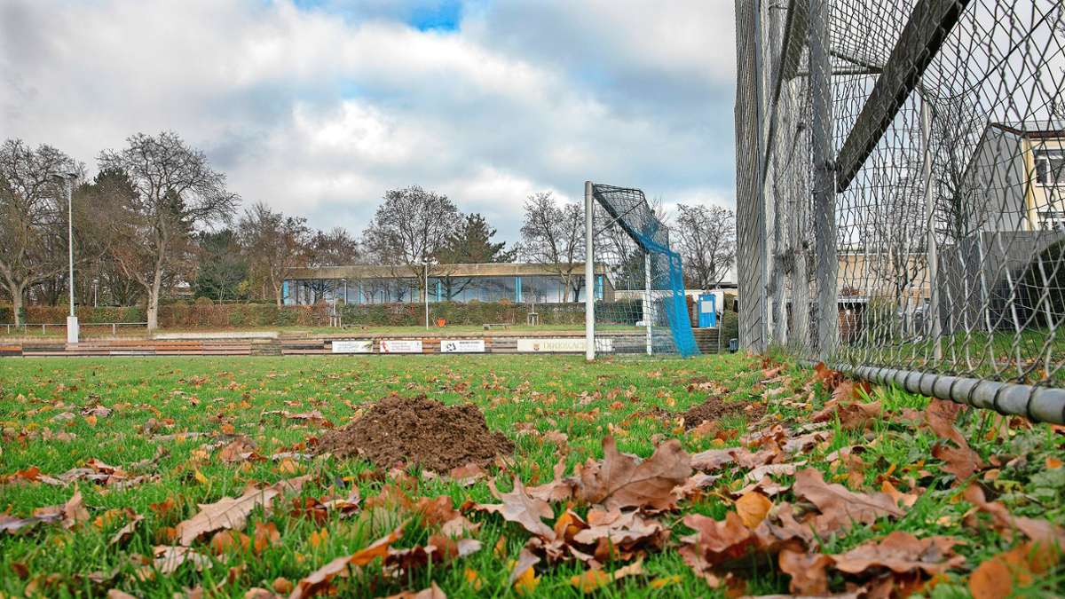 Sportstätten in Ostfildern: Kunstrasenplatz wird in Scharnhausen gebaut