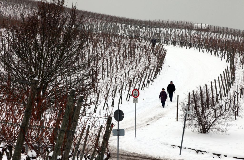 Auch im Winter sind die Wege, in den Weinbergen rund um den Fellbacher Kappelberg für Wanderfreunde attraktiv.