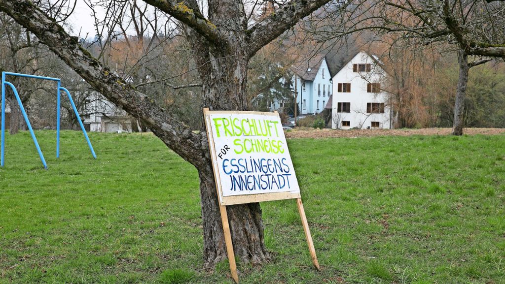 Esslingen: Gefecht der Gutachten im Gewann Greut