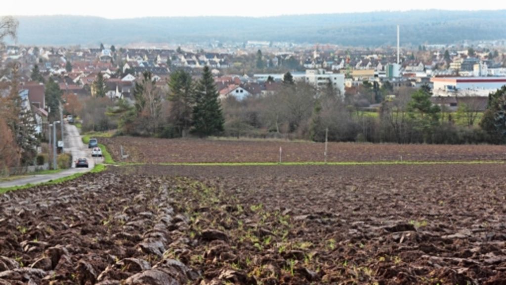 Korntal-Münchingen: Gutachten: kein Stau durch Korntal-West