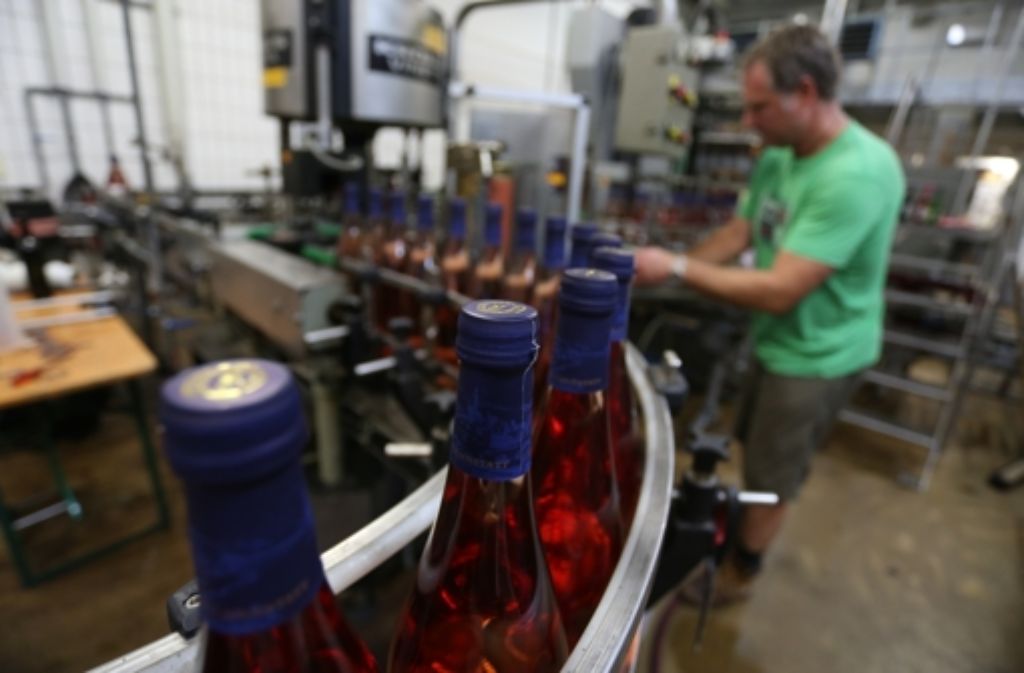 Trollinger en masse: Hunderte Weinflaschen werden an der Maschine gefüllt.