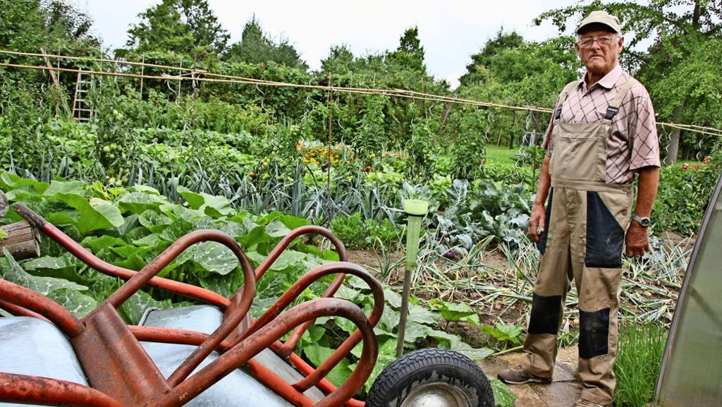 Gartenserie Teil 1: Hans Kallenbach aus Echterdingen: Zur Erntezeit gibt es schon morgens Tomaten