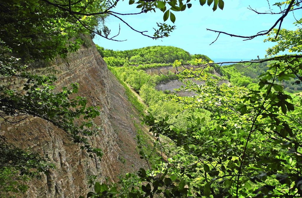 Der ehemalige Steinbruch am Hörnle bei Kohlberg ist heute ein Naturschutzgebiet.