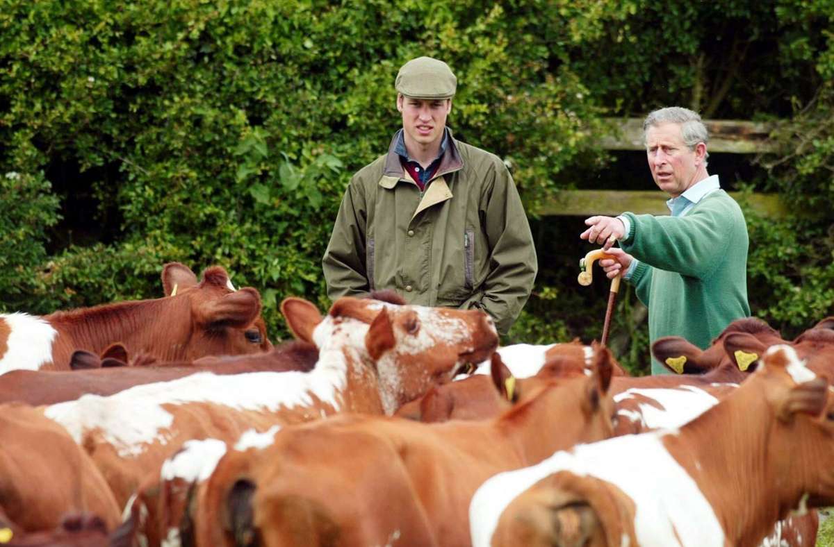 Der Einsatz für mehr Nachhaltigkeit verbindet Prinz Charles auch mit seinem Sohn, Prinz William.