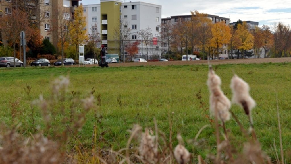  Mit einer veränderten Baulandpolitik will Leinfelden-Echterdingen schneller zu neuen Baugebieten kommen. Der Gemeinderat führt die neuen Spielregeln mit großer Mehrheit ein. 