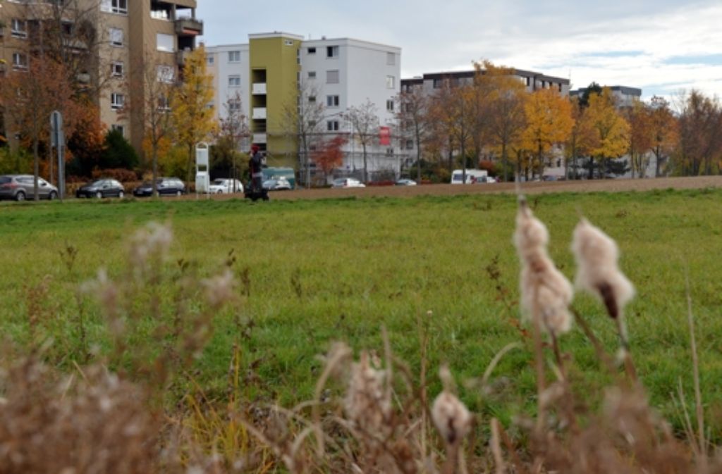 Der Flächennutzungsplan sieht westlich der Goldäckerstraße 1,5 Hektar Fläche für Wohnungsbau  vor. Auch für dieses Areal gelten nun die neuen Regeln. Foto: Norbert J. Leven