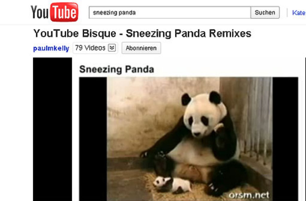 Hatschi! So klein es ist, dieses sechs Wochen alte Panda-Baby aus einem Zoo in China hat ganz offenbar schon einen beträchtlichen Resonanzkörper. Seine Mutter erschrickt sich zumindest fast zu Tode, als das Kleine mit Niesen loslegt. Unter dem Namen "Sneezing Panda" ist das 14-Sekunden-Video zu einem You-Tube-Klassiker geworden.