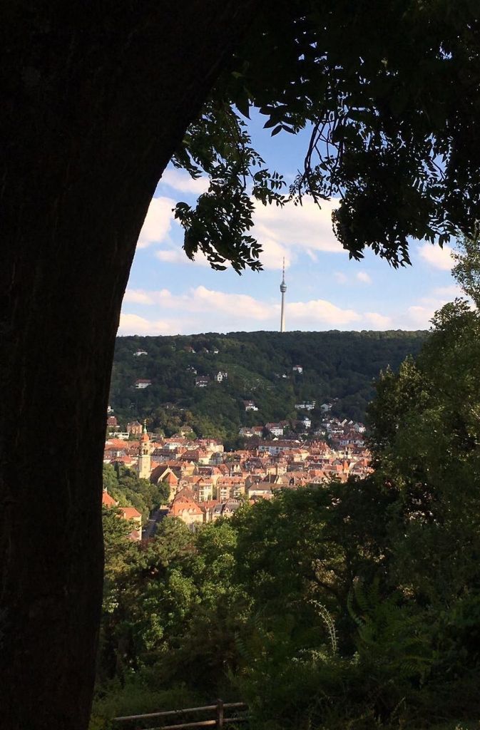 Über den Dächern der Stadt: Stuttgarts schönste Aussichtspunkte