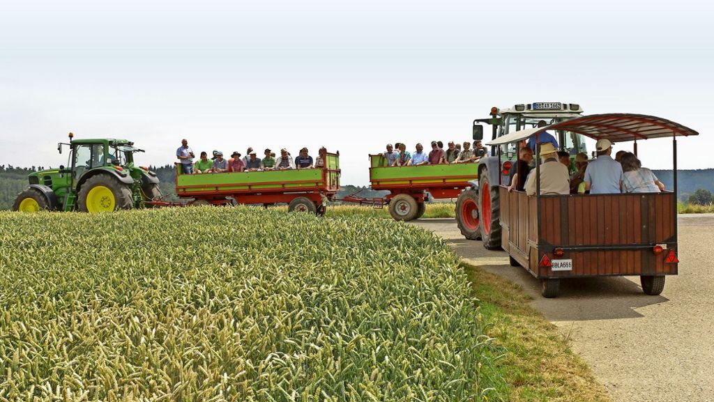 Felderrundfahrt in Rutesheim: Die früheste Ernte seit Menschengedenken